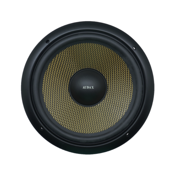Audax - Speaker Pasif 10" Audax AX - 10079 WYR8 Professional Series Woofer MK II