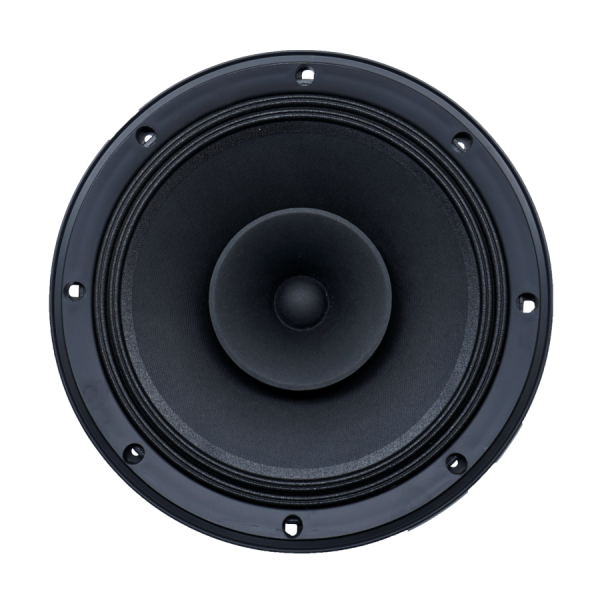 Audax - Speaker Pasif 10" AX-10120 M8 Technology Series MK II Full Range