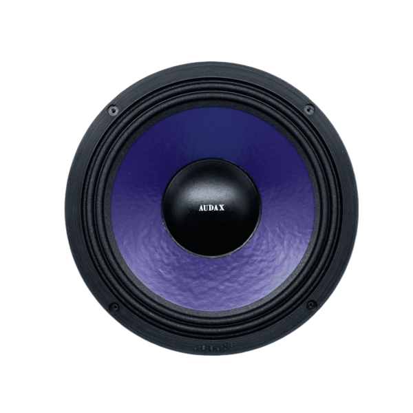 Audax Speaker 10" AX 10021 CW8 Spotlight Series Woofer MK II