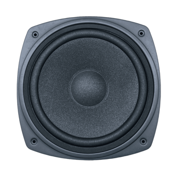 Audax - Speaker Pasif 10" AX-10066 CFW8 P.C. Series Woofer MK II