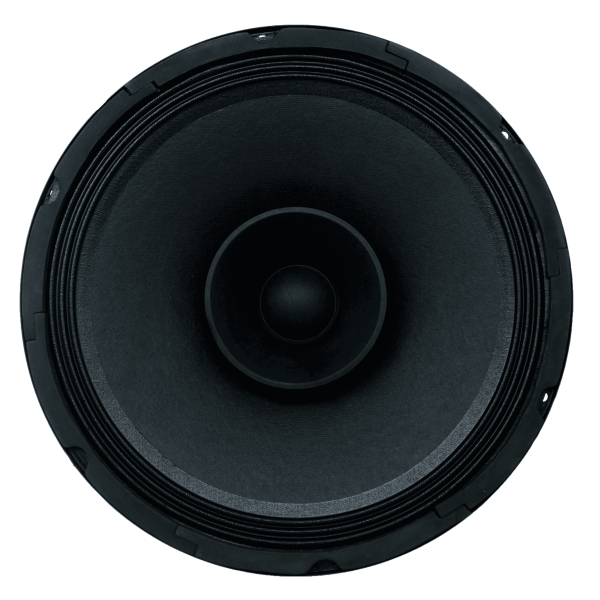Audax - Speaker Pasif 12" AX-12430 M8 E-Series Musical MK II