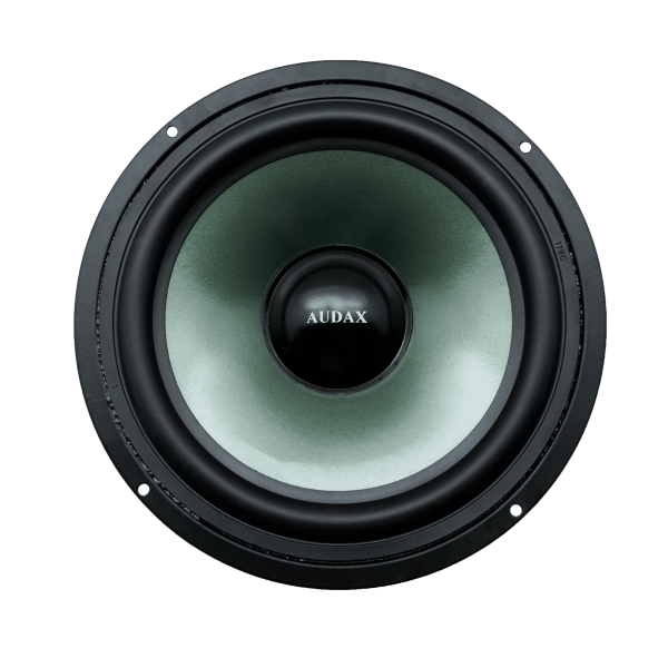 Audax - Speaker Pasif 8" AX-8031 WG8 Woofer